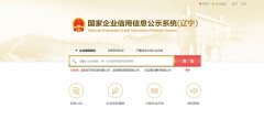国家辽宁企业信用信息公示系统查询